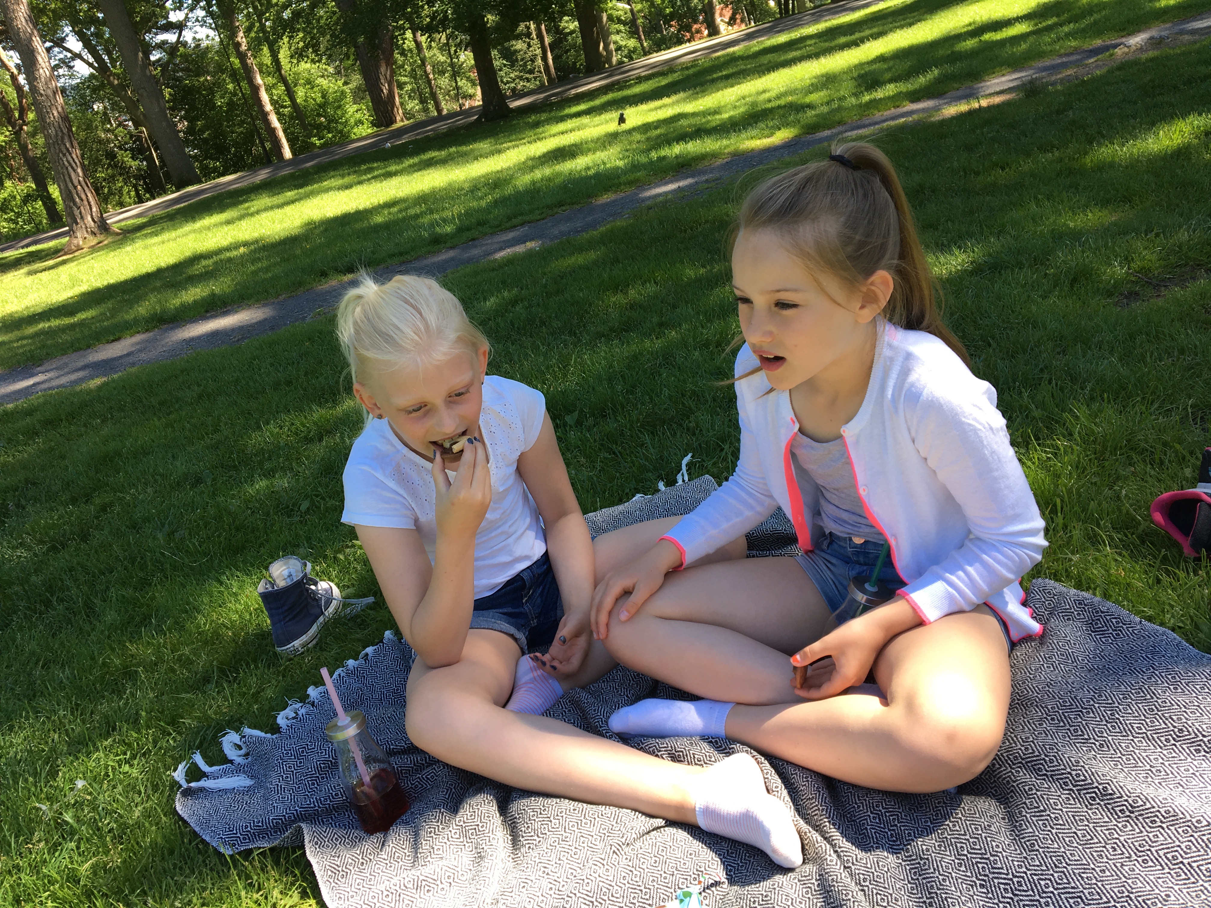 Picnic in the park 